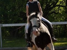 img-98521-563